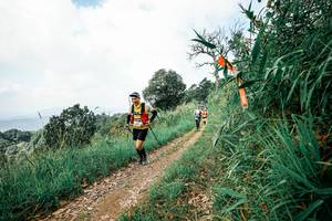 BIB: 
                            <button type="button" onclick="openModal(26039708)" class="btn btn-primary btn-sm float-right btn-popup" data-toggle="modal" data-target=".modal-high-quality">
                        <i class="fas fa-shopping-cart"></i> Add to Cart
                    </button>
                                            <button type="button" onclick="isThisMe(26039708, true)" class="btn btn-success btn-sm float-right btn-popup btn-isme hidden" data-toggle="tooltip" data-placement="bottom" title="นี่คือรูปของคุณใช่ไหม คลิกที่นี่เพื่อเอาเข้าอัลบั้ม">
                        <i class="fas fa-plus"></i> Add to album
                    </button>
                    <button type="button" onclick="isThisMe(26039708, false)" class="btn btn-warning btn-sm float-right btn-popup btn-isnotme hidden">
                        <i class="fas fa-ban"></i> Remove from album
                    </button>